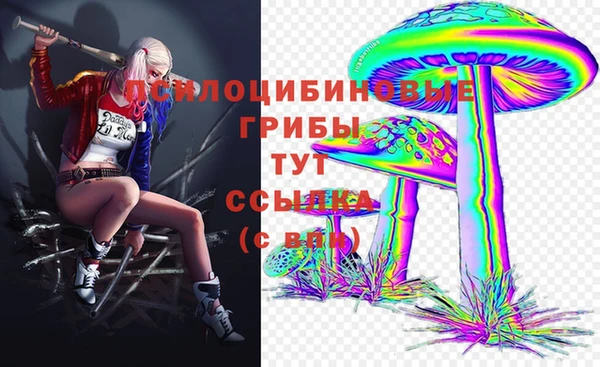 МДПВ Переславль-Залесский