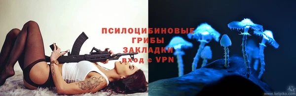спиды Алексин