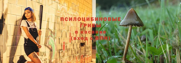 спиды Алексин